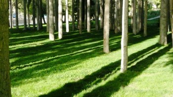 aga-khan-park-khorog-1