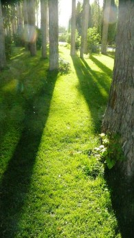 aga-khan-park-khorog-4