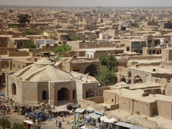 cultural-conservation cultural-conservation