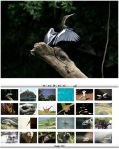 Focused on Nature Photographs by Hussain Aga Khan