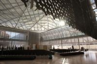 Delegation of the Ismaili Imamat wins OAA award