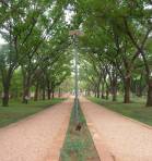BAMAKO - National Park of Mali