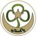 Ismaili Girl Guides register as new chapter of Pakistan Girl Guides Association « Informatics