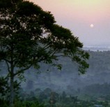 The Whitechapel Gallery presents the first major UK survey of photographer and film-maker Zarina Bhimji