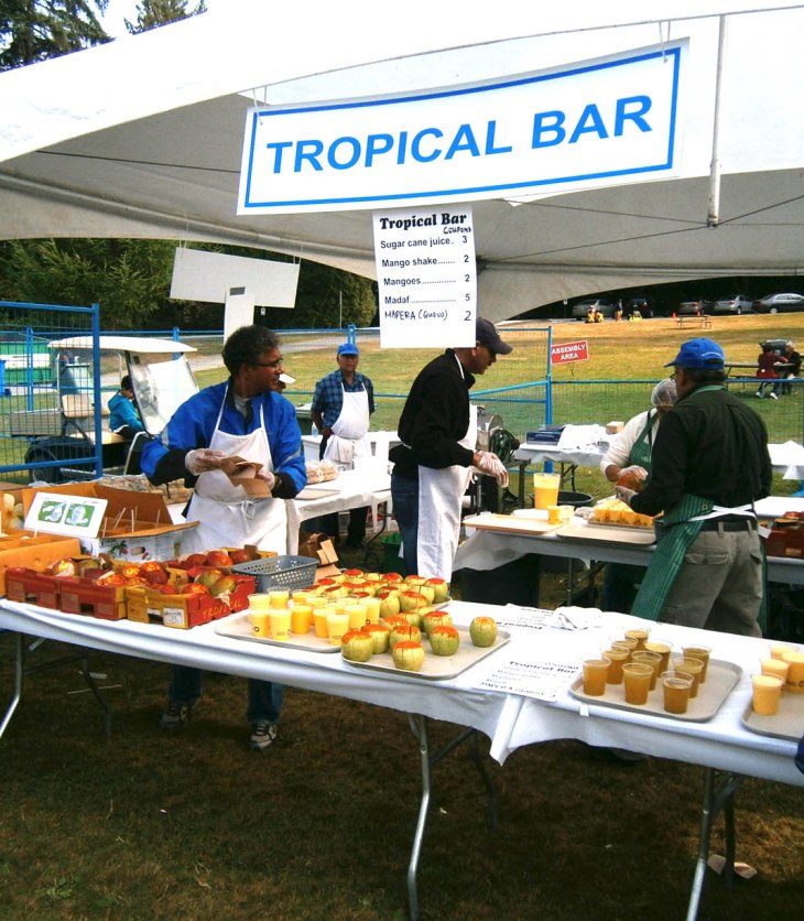 Photographs: Ismaili Walk 2012