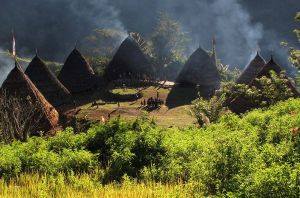 Aga Khan Award for Architecture 2013 Cycle Shortlisted Project Preservation of the Mbaru Niang Flores Island Indonesia