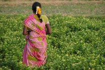 Carleton to Partner with Aga Khan Foundation of Canada for Seminar on International Microfinance