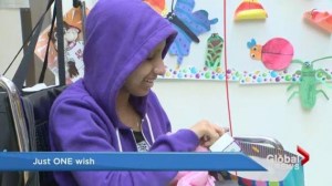 Iman Merali gets wish to see pop band "One Direction"