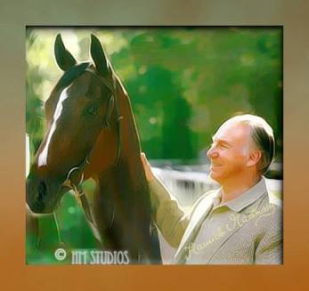 Hamida Art and Design The Majestic Horse