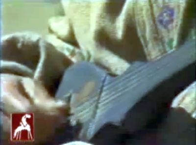 Musical Instrument of Ismailis of Chitral: Gharba - A Plucked Lute