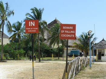 Musings from Dar es Salaam: A blog by AKFC Fellow Alim Fakirani Musings from Dar es Salaam: A blog by AKFC Fellow Alim Fakirani