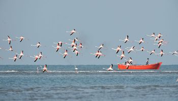 Modhva Fishing Village