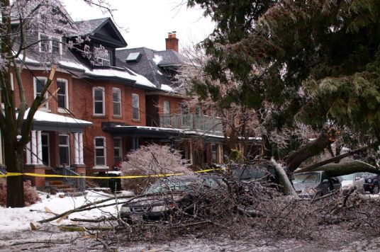 The Ismaili: Ontario Ismailis face ice storm with warm generosity