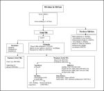 Diana Steigerwald: Shī‘ī Islam and its Later Development