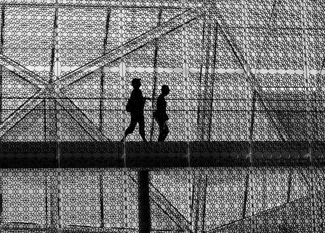 Delegation of Imamat Building: Jali Screen and Atrium