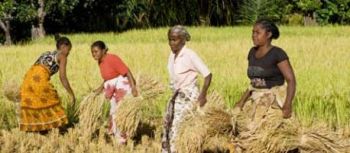 New AKDN Publication: Aga Khan Development Network in Madagascar