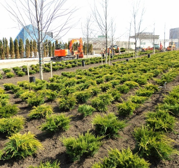 Mehdi Esmail Photographs: Aga Khan Wynford Park Construction Projects