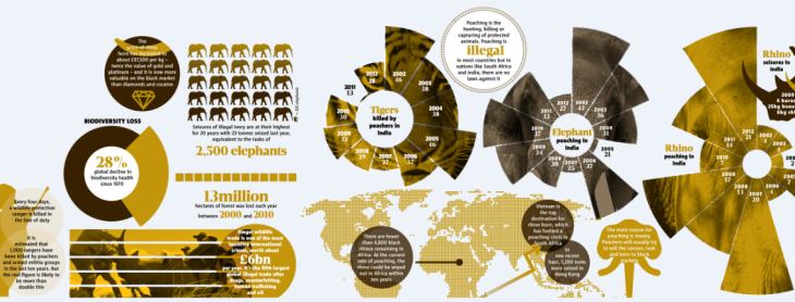 Reflection: AKU Professors weighs in on the impact of poaching - who lives … Wildlife or Profits?