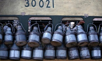 Rahman Jamal: Saving milk from spoilage in rural India - A thermal-battery powered cooling device could help farmers