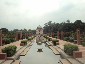 Where the Wild Things Are: A book on most suitable trees for Delhi