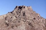 The Nizari Ismailis of the Alamut period: Engineers