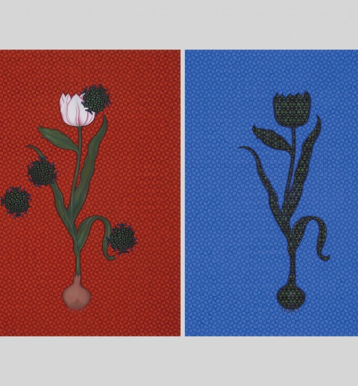 Aisha Khalid: The Strength of Beauty