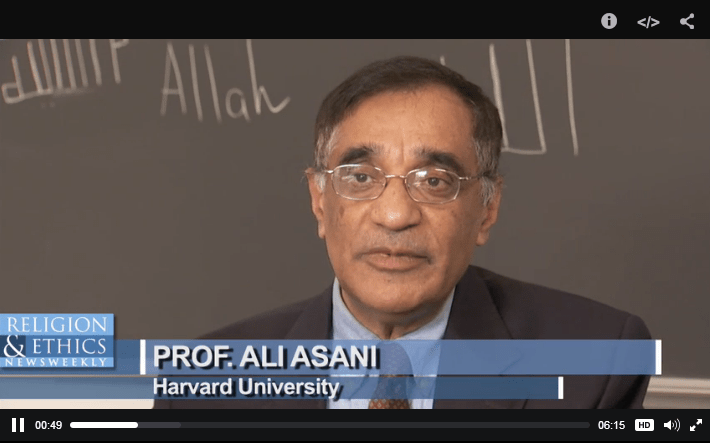 PBS Religion & Ethics: Ali Asani on religious radicalization