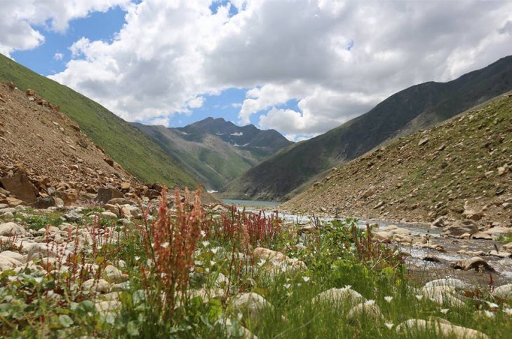 Image: Humans of New York
