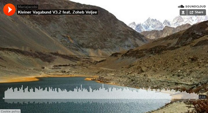 New Music by Zoheb Veljee