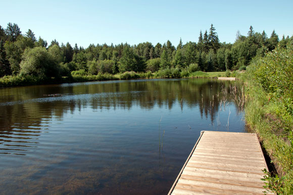 nature of the botanical garden