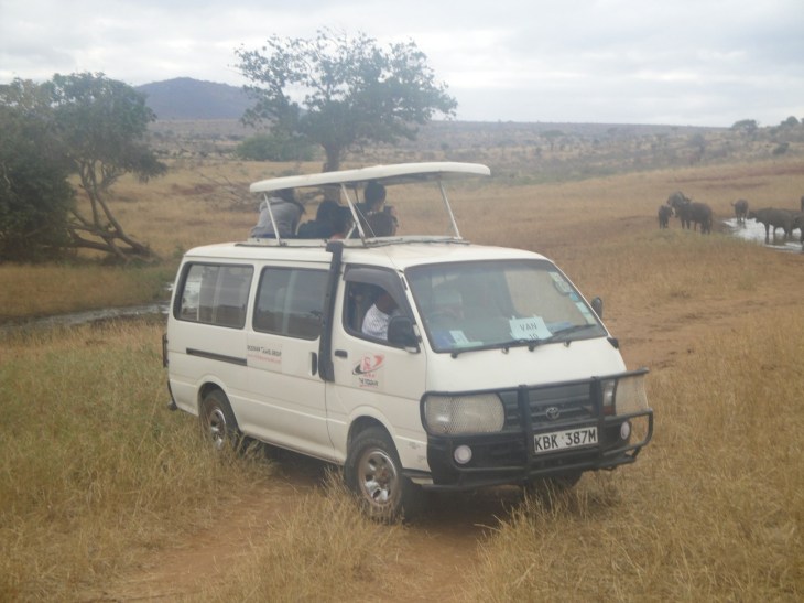 Game drive at the safari. ©Inaara Shakur Jamal