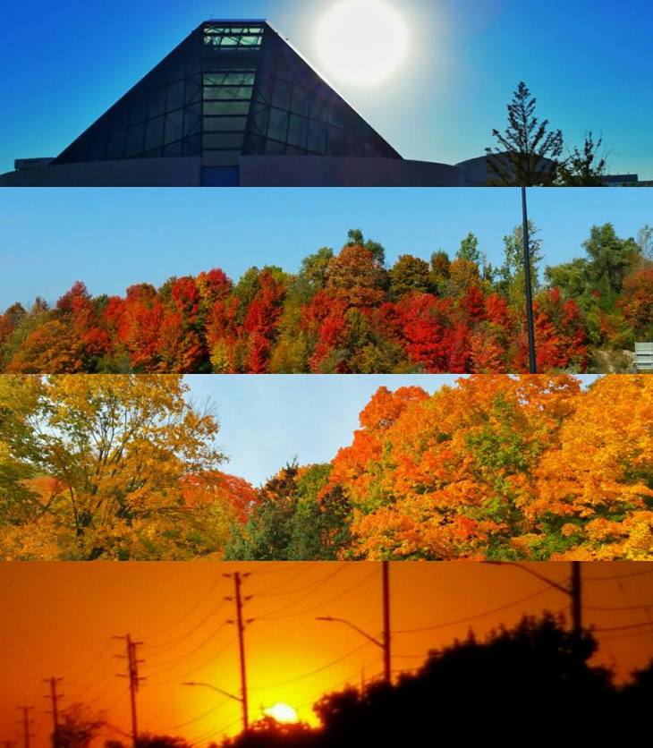 Salim Nensi Fall in Toronto - ThanksGiving Weeekend