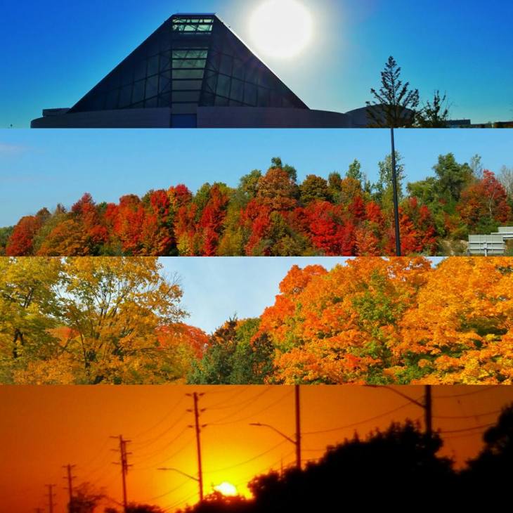 Salim Nensi Fall in Toronto - ThanksGiving Weeekend