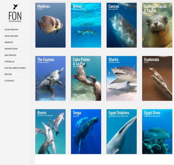 Prince Hussain - Focused on Nature