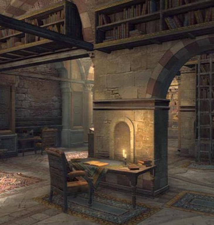 Fatimid Imams had a fondness for books, establishing a library that was a wonder of the medieval world