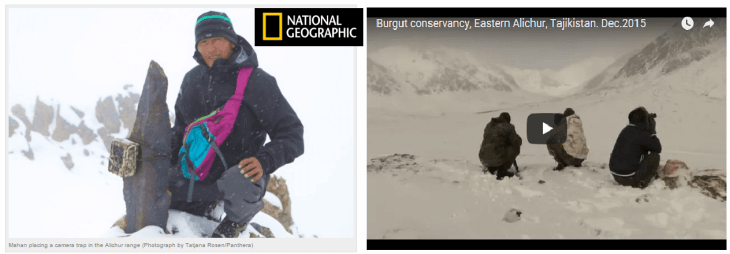 National Geographic focus on the Pamirs: The future of wildlife is in our hands