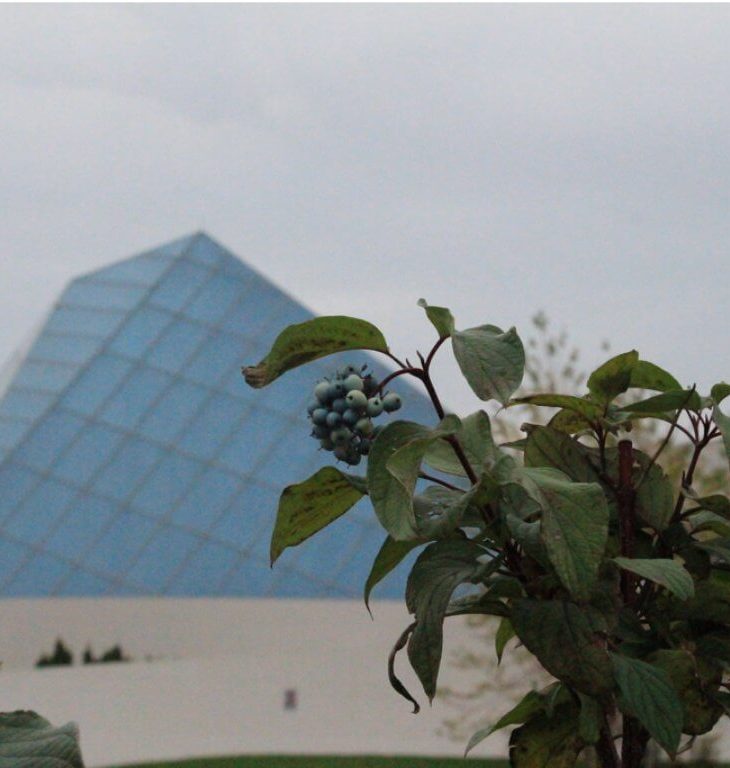 Toronto International Women's Day Celebration at the Ismaili Centre with Glenda Crisp and Shelmina Babai Abji