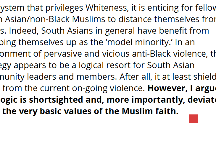 Shenila Khoja-Moolji: On why #BlackLivesMatter should matter to non-Black Muslims