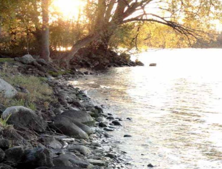 M. Ali Lakhani: Aesthetic Foundations of Ecological Responsibility | QScience