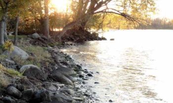 M. Ali Lakhani: Aesthetic Foundations of Ecological Responsibility | QScience