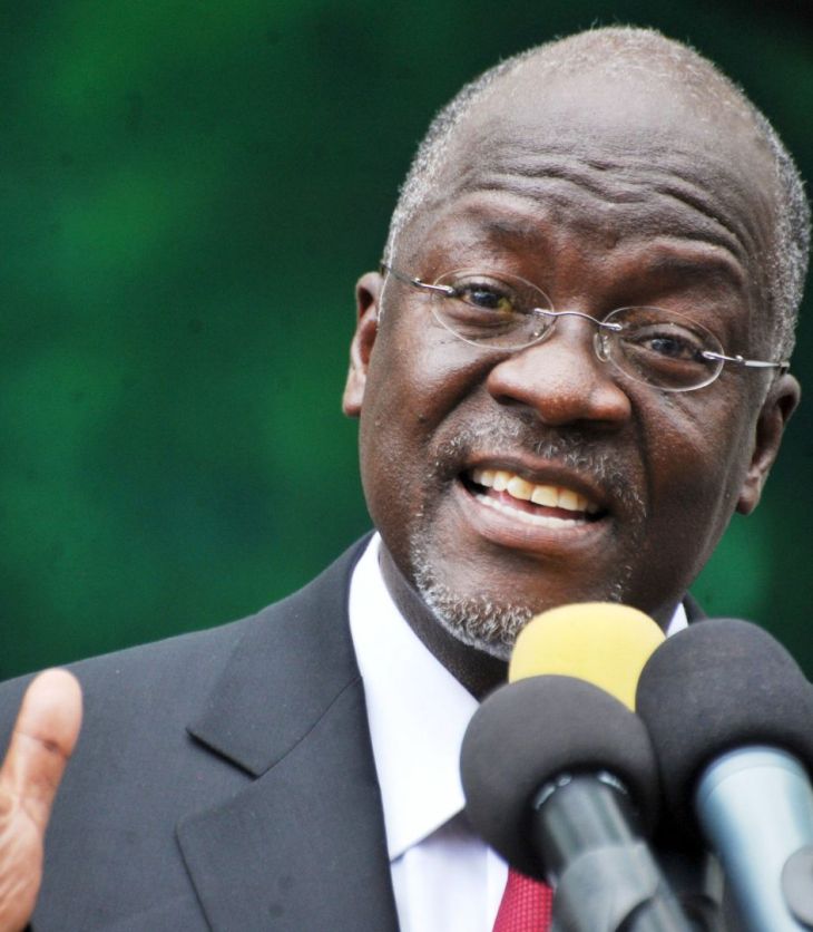 Ismailis urged to think of investing and doing business in Tanzania