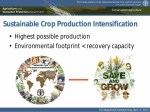 Professor Amir Kassam: Release of the special edition "Sustainable Crop Production Intensification" of the journal of AIMS Agriculture and Food