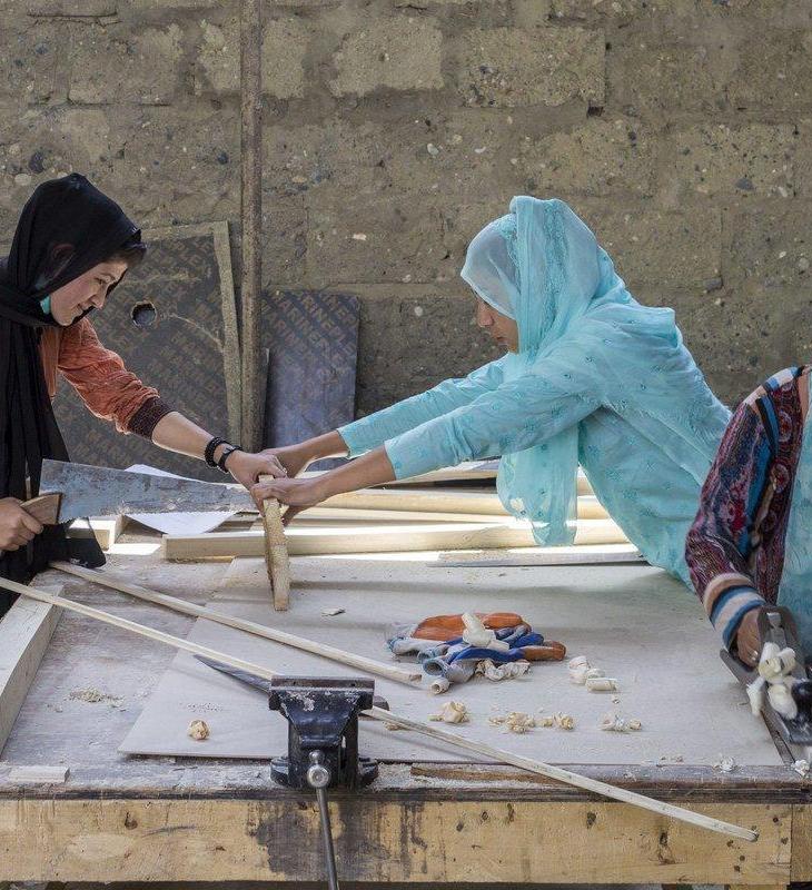 Women Empowerment: Gilgit-Baltistan government, Aga Khan Rural Support Programme sign agreement