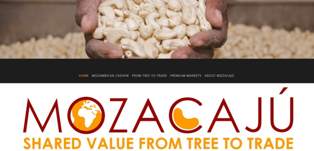 null From tree to trade: Cashews in Mozambique