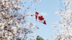 Canada Day 2017 at the Aga Khan Museum