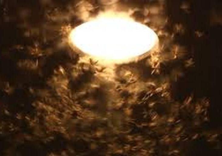 Ginan: Hu(n) re piyaasi piya tere darshanki - I thirst, o Beloved, for a vision of You