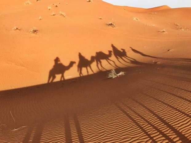 Ali Karim Travelog: Explore Morroco