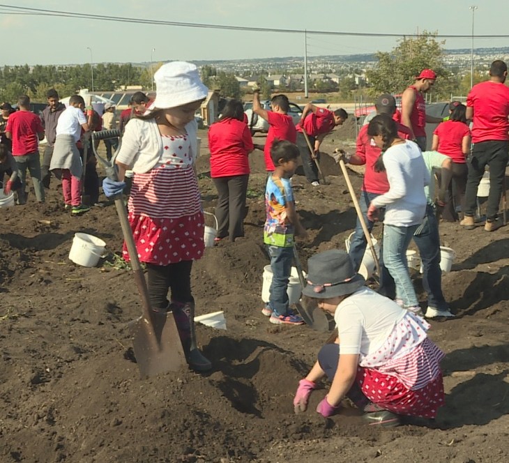 Calgary Muslims aim for 200,000 Canada 150 volunteer hours | CBC News