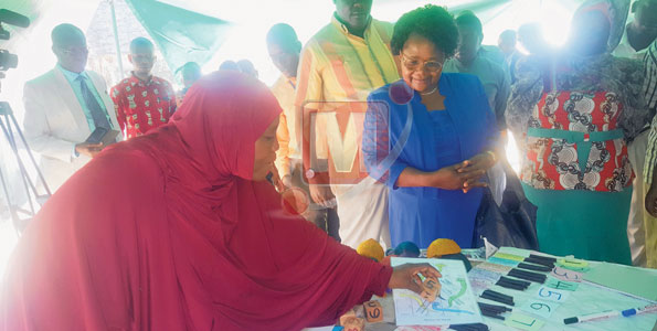 Tanzania: Aga Khan network earns Govt praise in education