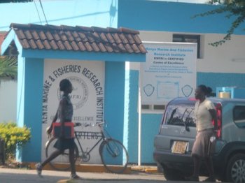 Alex Awiti: We must invest more in research and innovation | The Star, Kenya